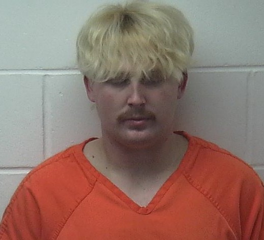 Suspect Image